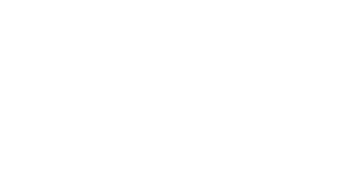 Disability Confident Committed